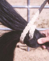 Tail knots for packing