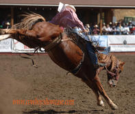 rodeo saddle bronc