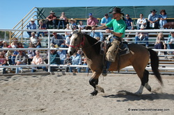 Riverton wild horse sale
