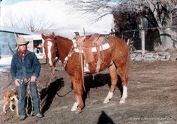 Benny Damele and a curly saddle horse