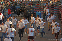 Running From the Bulls