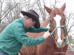  Rex Blackwell, The Man Who Rubs Horses