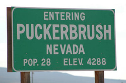 Puckerbrush, Nevada