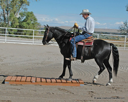 Mike Buchanan on one of the wild horses he has trained.