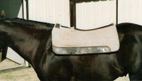 Cut away saddle pad