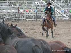 Wally Blossom and Blossom Rodeo Horses