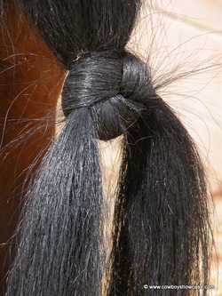Horse tail knot