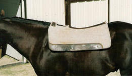Cut-away saddle pad