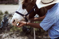 deworming a horse