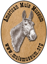 American Mule Museum