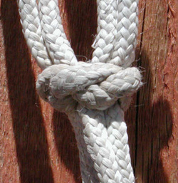 Fiador knot