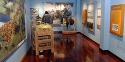 Florida Cattle Ranching: Five Centuries of Tradition exhibit