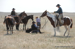 Working cattle, A Family Ranch that Stands the Test of Time