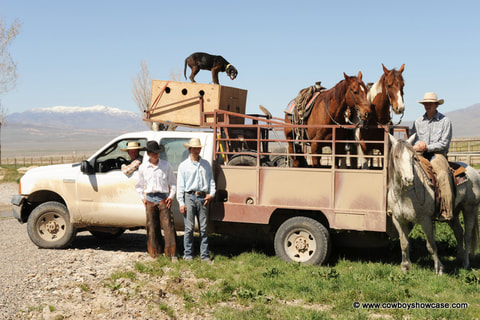 horses and hounds loaded