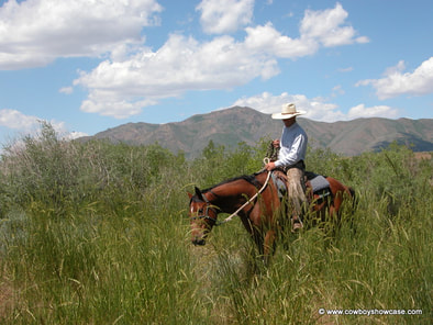 Ungrazed forage increases fire danger.